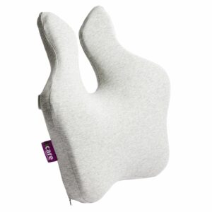 Reform Back Cushion